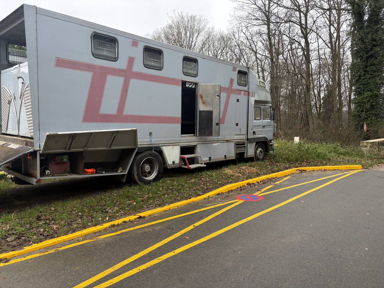 Vend pl 8 chevaux renaullt