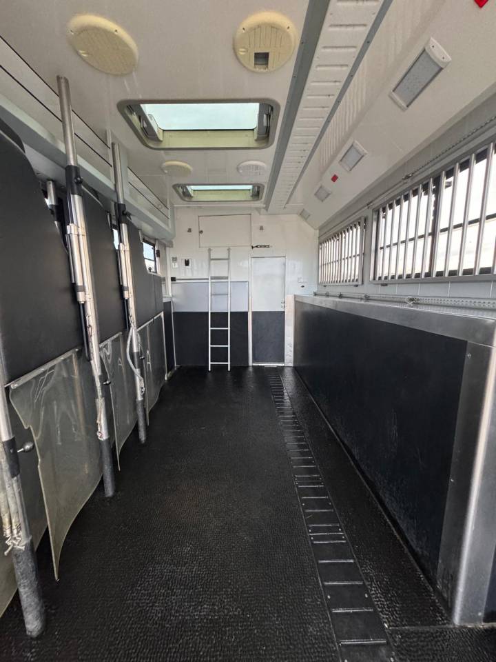 STX 6 CHEVAUX AVEC POP OUT ET PUSH UP