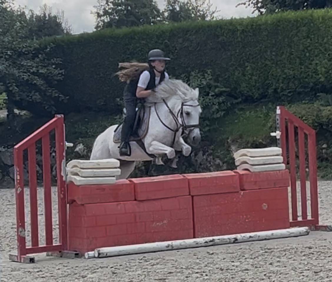 À vendre Garrigue FBK 2016