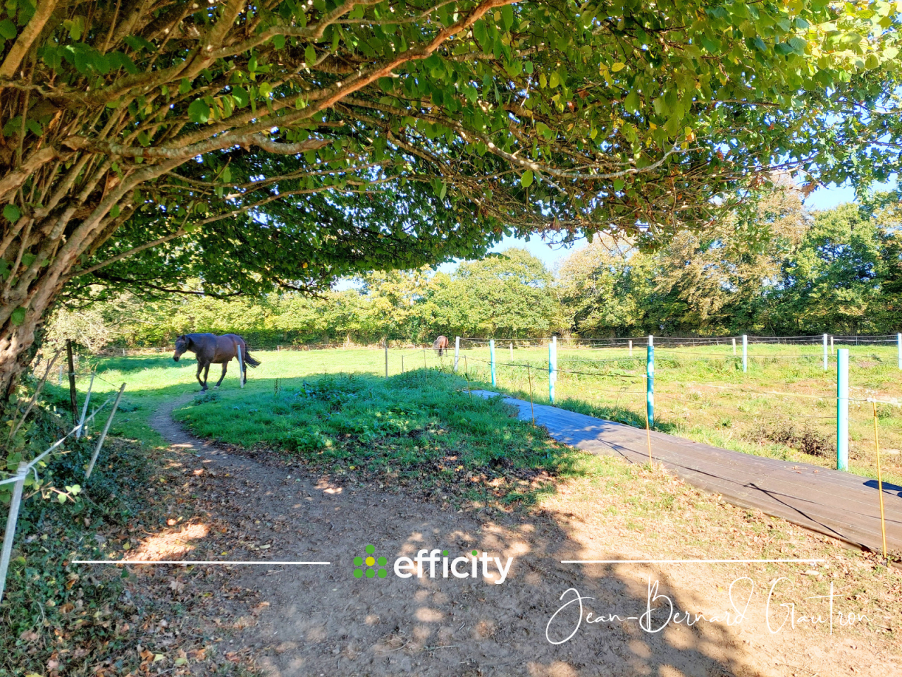 4 PIÈCES - 115.0 m² - MAISON en PIERRE - 4,7 HA