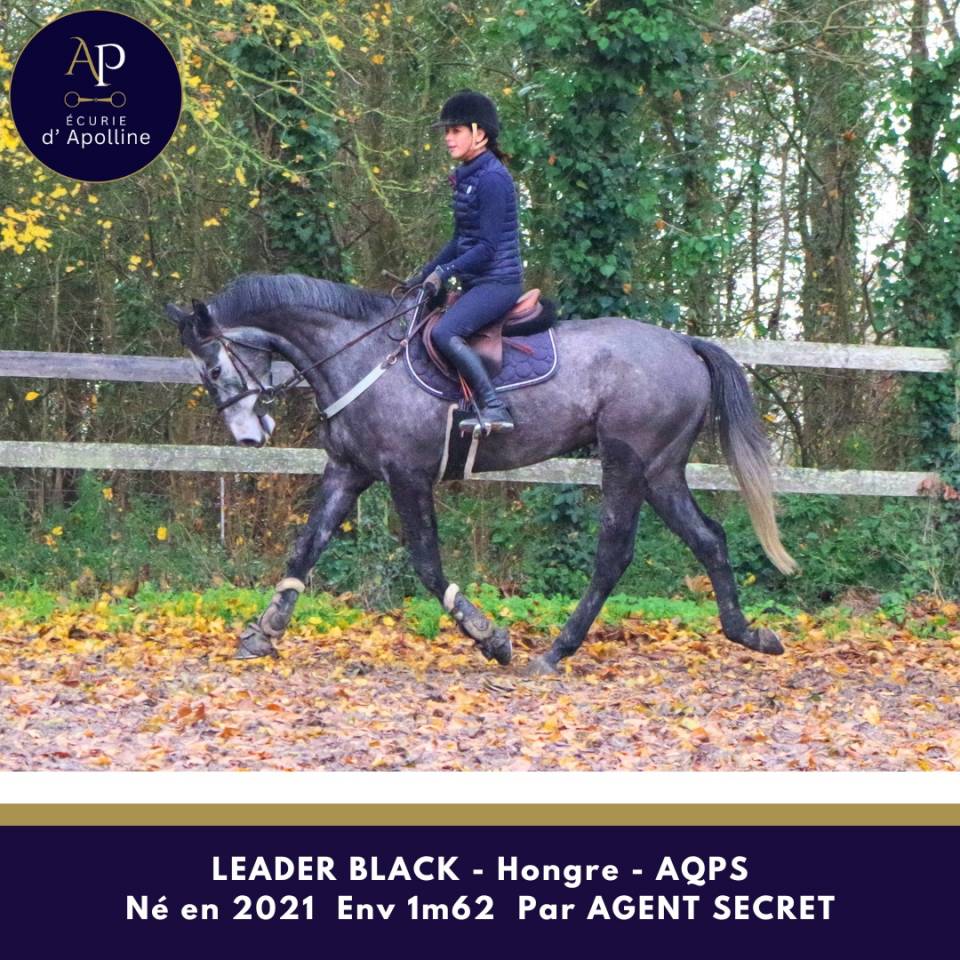 AQPS 4 ans locomotion plaisante modèle plaisant