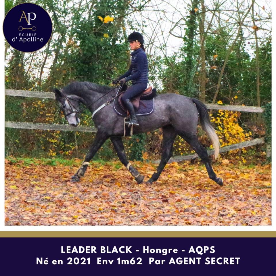 AQPS 4 ans locomotion plaisante modèle plaisant