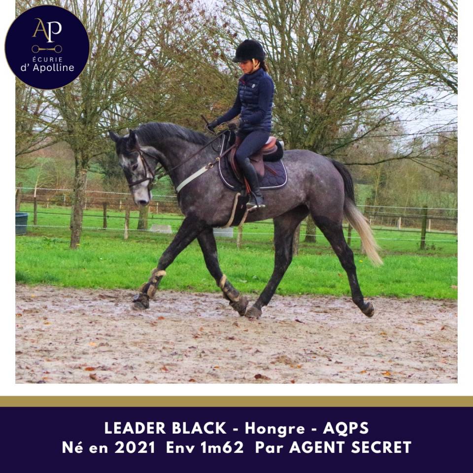 AQPS 4 ans locomotion plaisante modèle plaisant