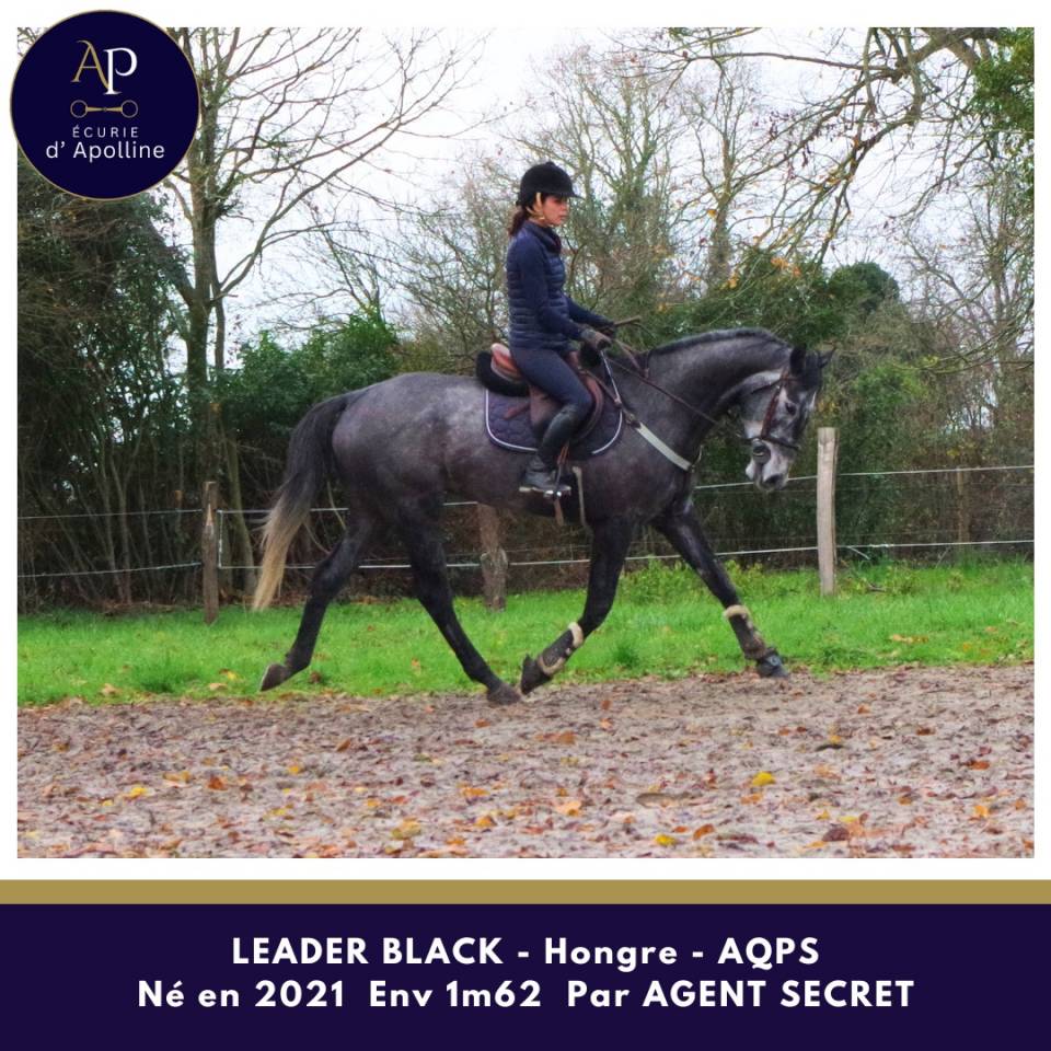 AQPS 4 ans locomotion plaisante modèle plaisant