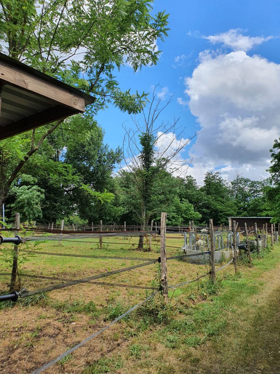 Propriété Équestre d’Exception sur 2 Hectares