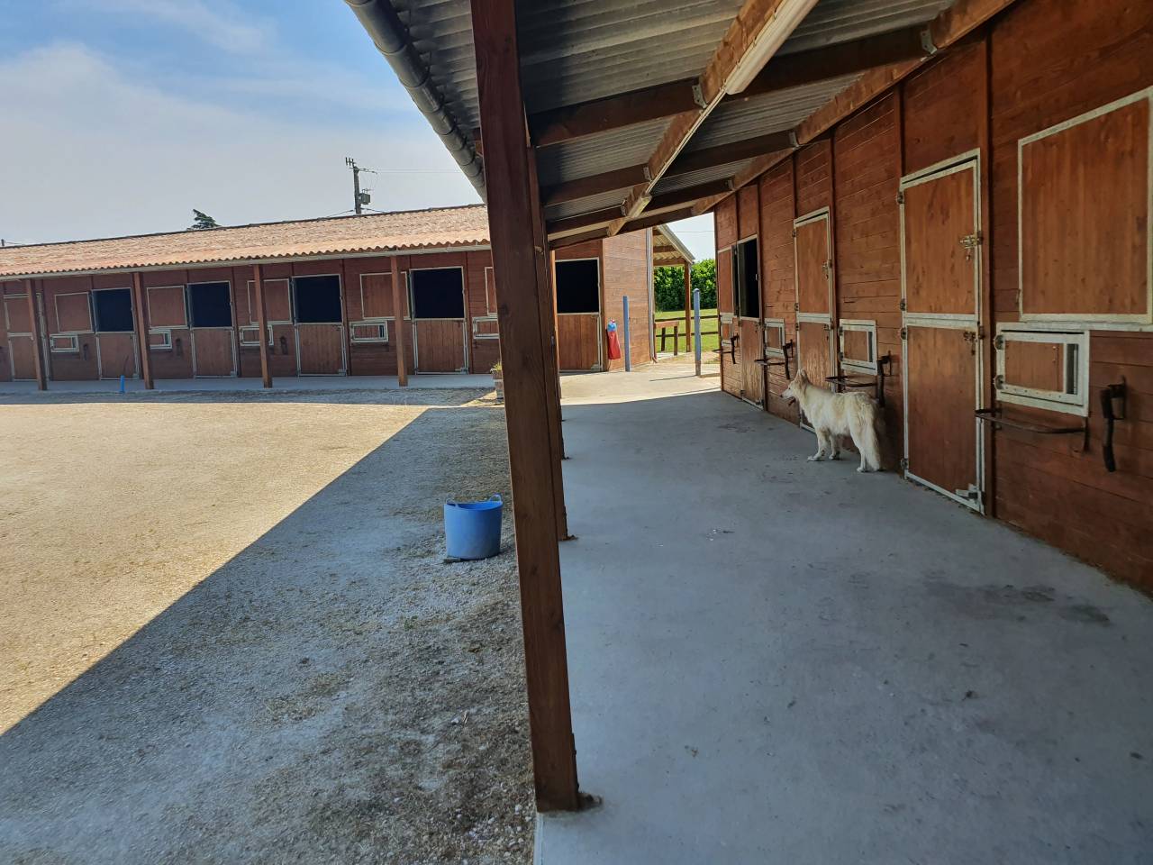 Propriété Équestre d’Exception sur 2 Hectares