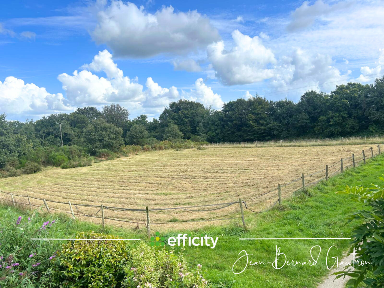  CORPS de FERME - 144 m² - ÉCURIE - CARRIÈRE - 1.87 HA