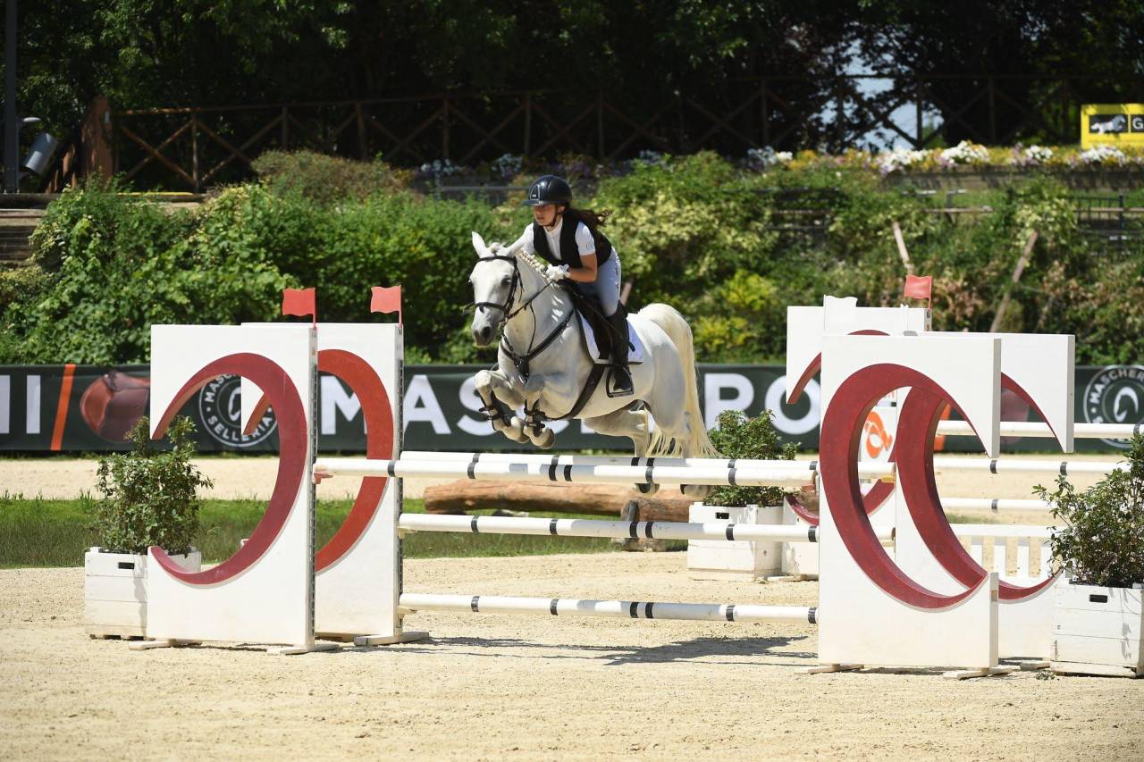 Jument Connemara A vendre 2018 Gris par GENTLE CHARLIE