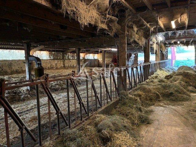 EXPLOITATION AOP Comté BIO avec 85 HA en vente autour des BATIM