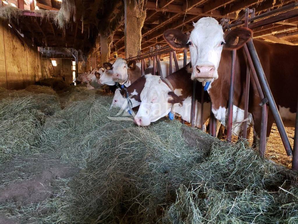 EXPLOITATION AOP Comt&eacute; BIO avec 85 HA en vente autour des BATIM