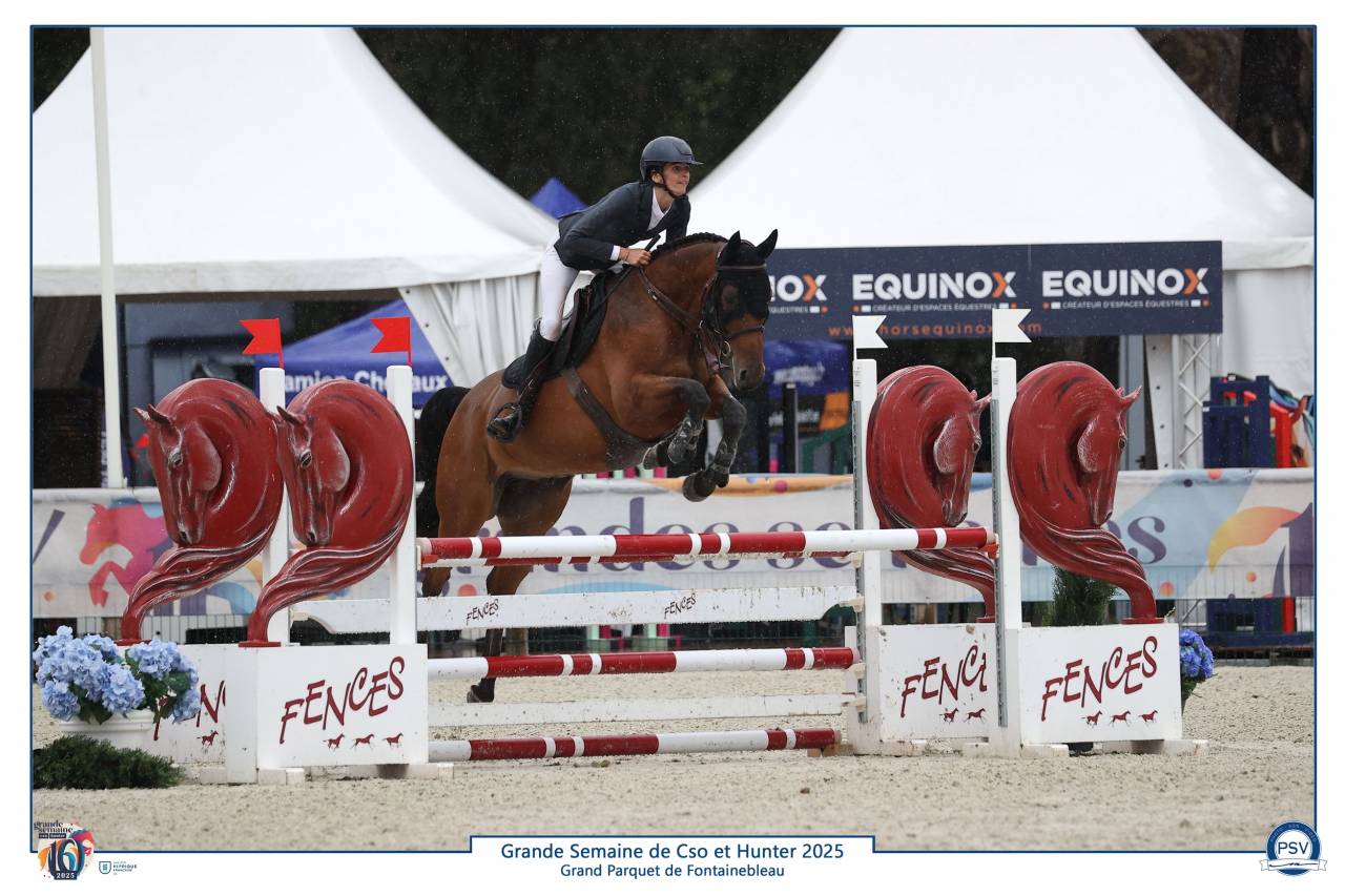 Hongre 6 ans très performant 