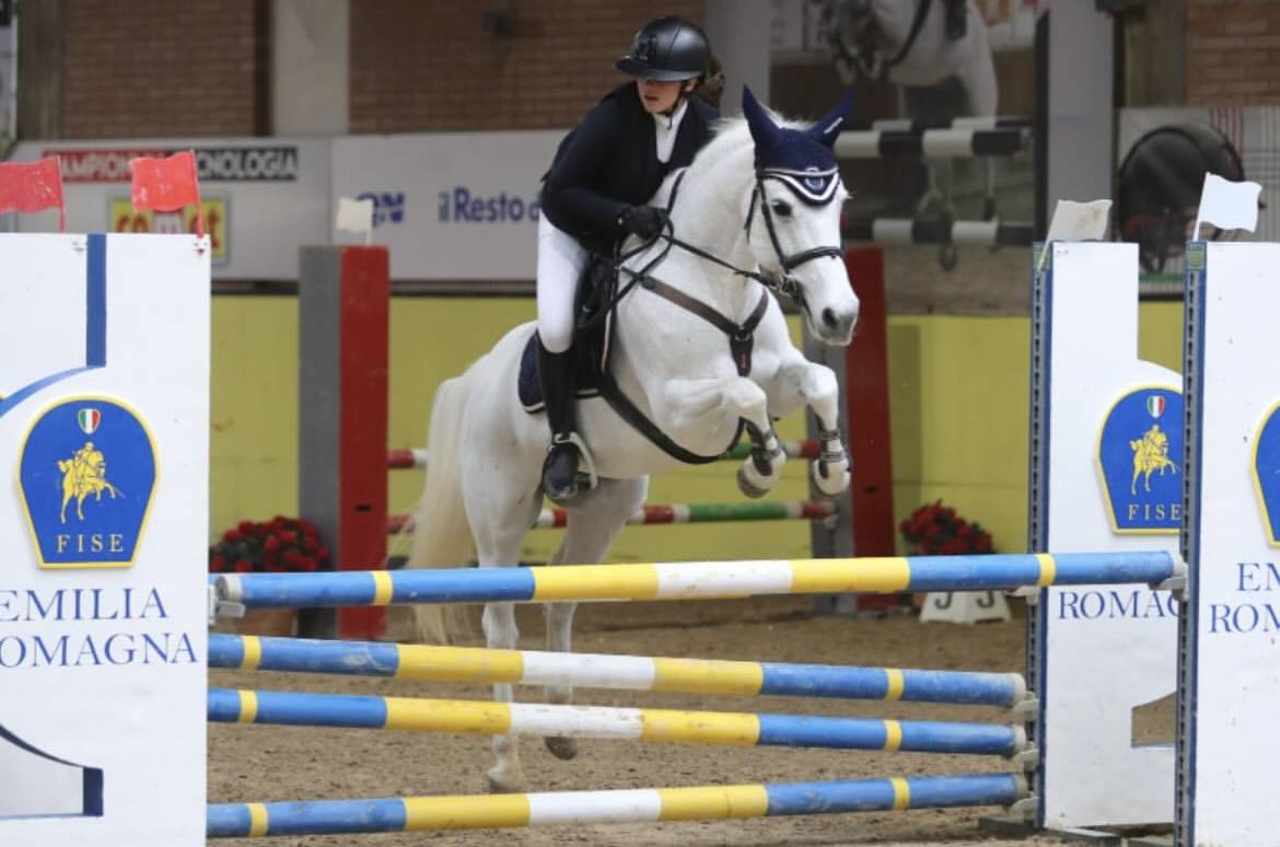 Jument Connemara A vendre 2011 Gris par VA TOUT DU RUERE