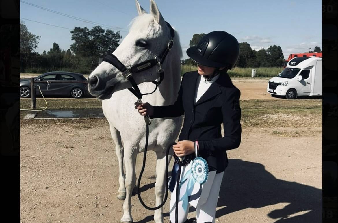 Jument Connemara A vendre 2011 Gris par VA TOUT DU RUERE