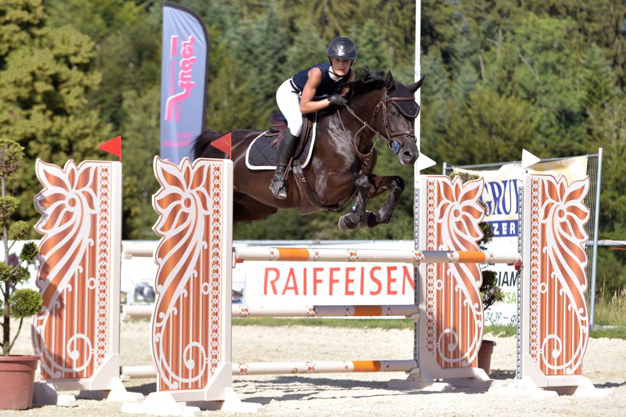 Jolie jument SF 2016