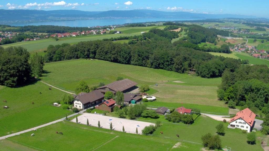 Recherchons palefrenier / employ&eacute; de ferme avec chevaux
