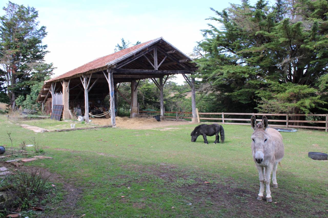 MAISON DE CAMPAGNE SUR 5 HECTARES DANS LE GERS