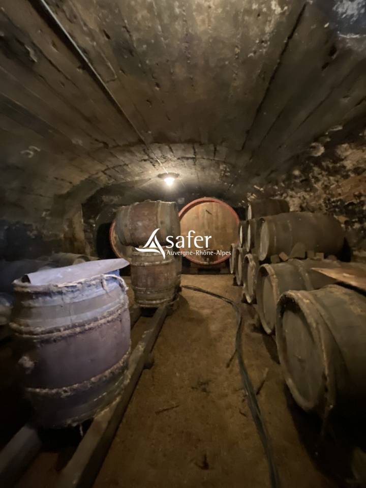 ANCIENNE PROPRIETE VITICOLE - FLEURIE