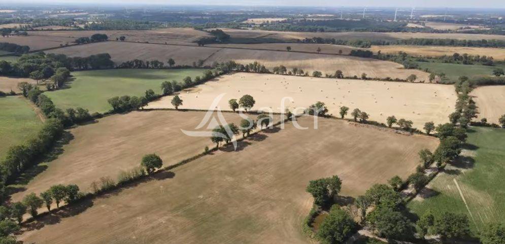 Belle Exploitation d'Elevages en Bovins et Ovins sur 242 ha