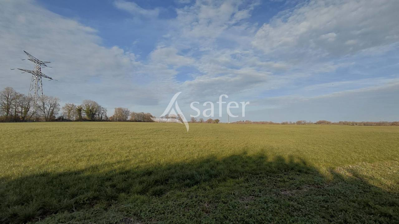 Ensemble de trois maisons d'habitation sur 12 ha, site isol&eacute;.