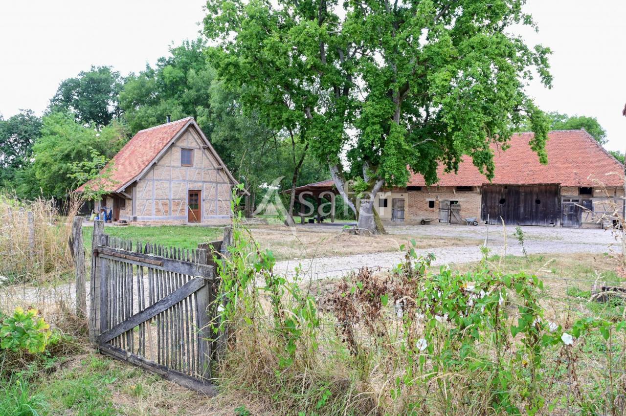 FERME BRESSANE 15 hectares d'un seul tenant