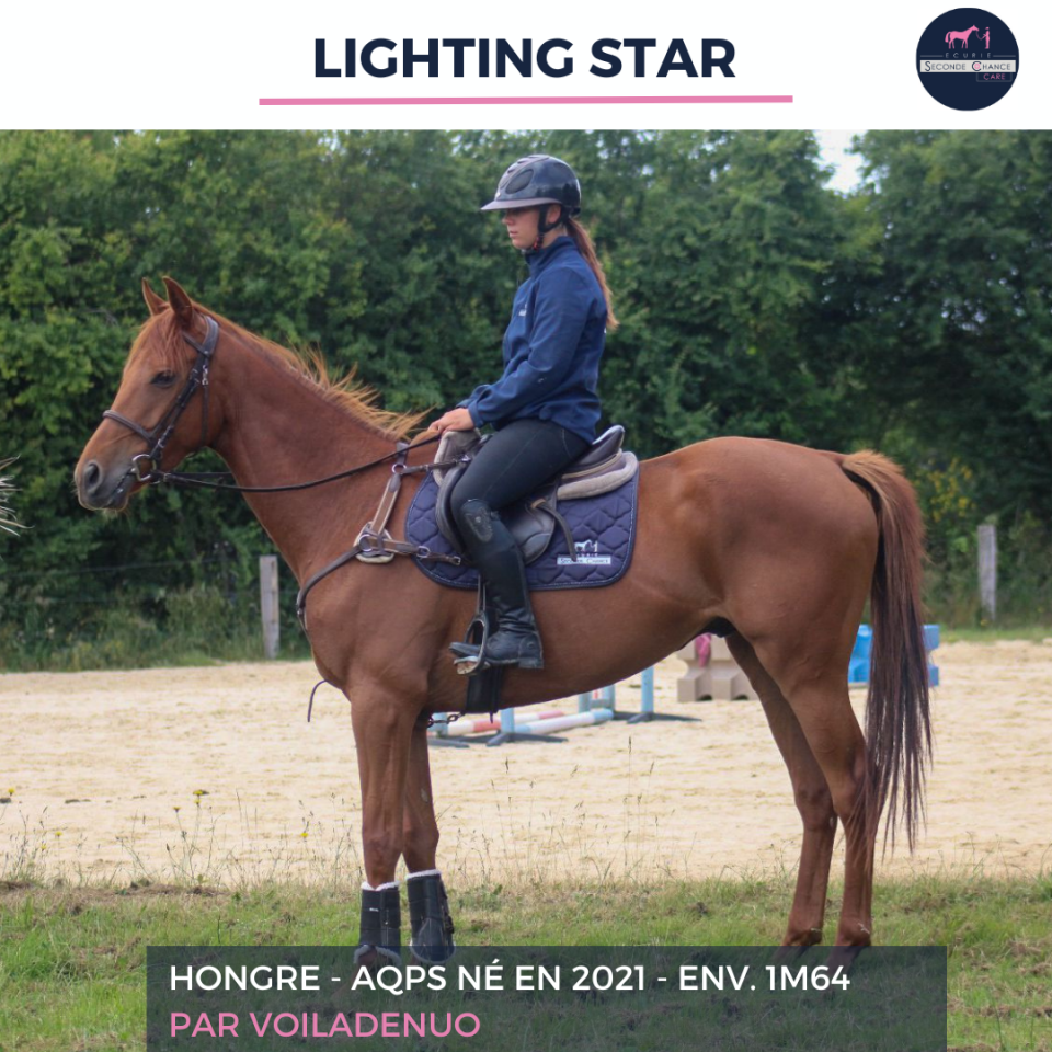 LIGHTING STAR - AQPS - 4 ANS