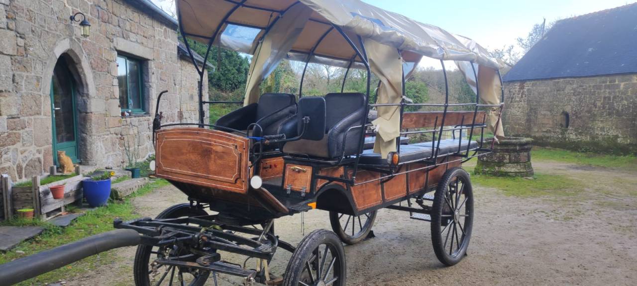 cal&egrave;che wagonnette de 12 + 2 places