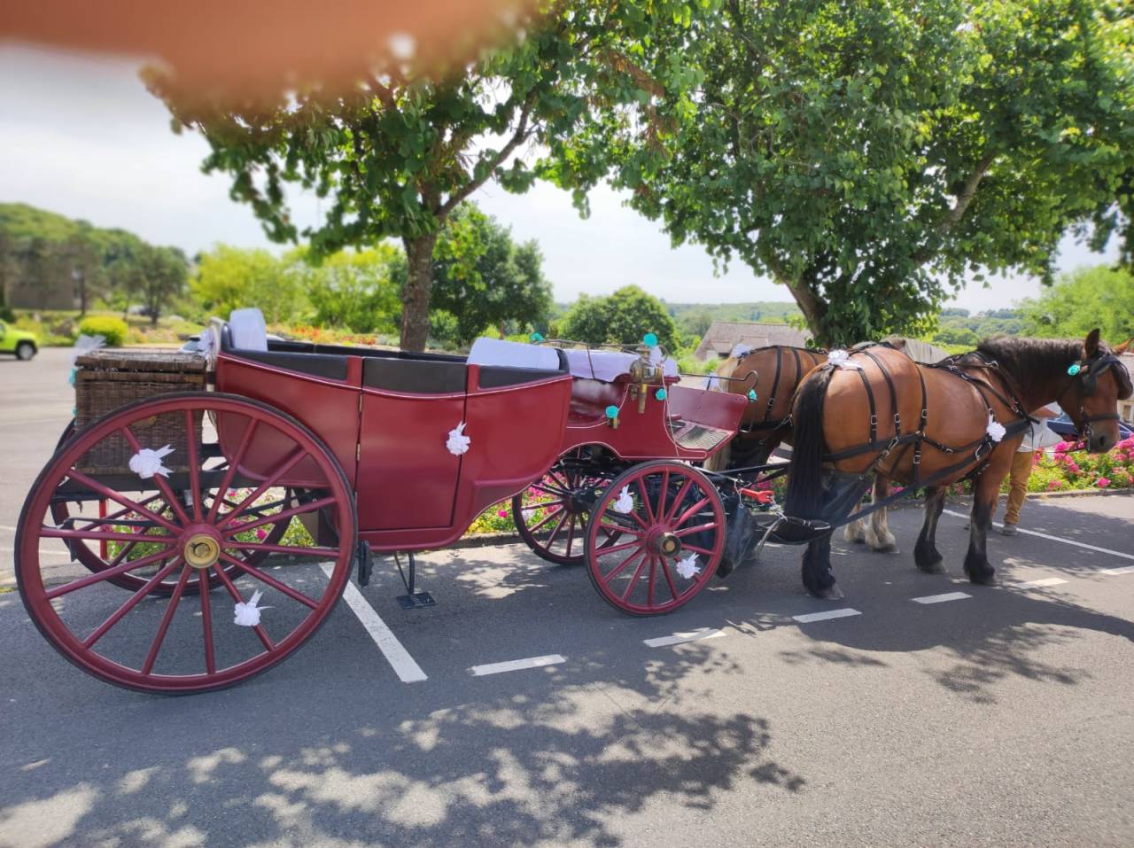 cal&egrave;che type landau vis &agrave; vis