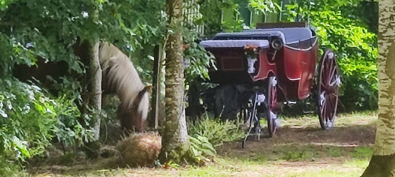 cal&egrave;che type landau vis &agrave; vis