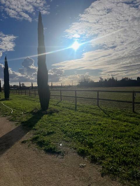 Structure &eacute;questre