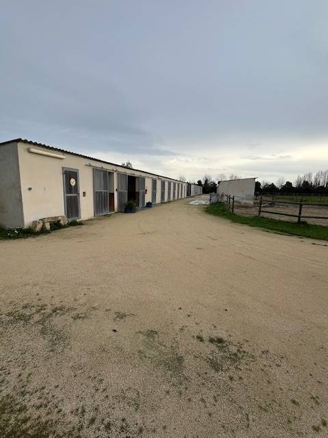 Structure &eacute;questre