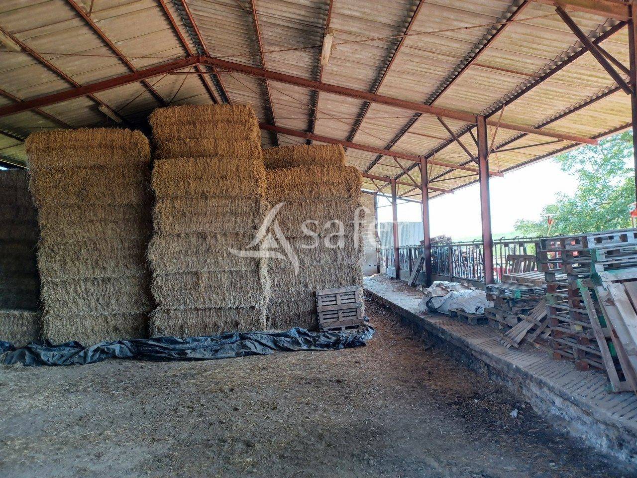 Ancienne Ferme sur 10 ha