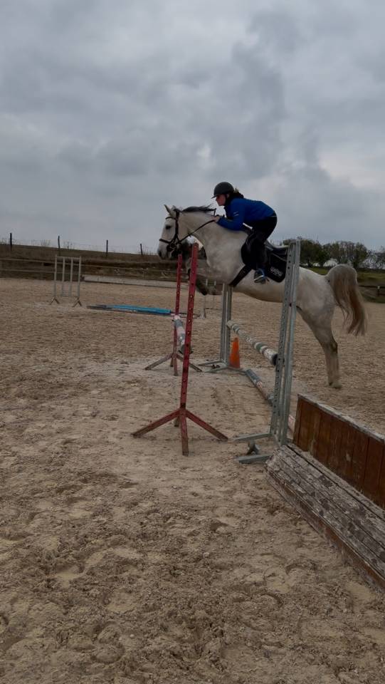 recherche d&rsquo;emploi &eacute;questre 