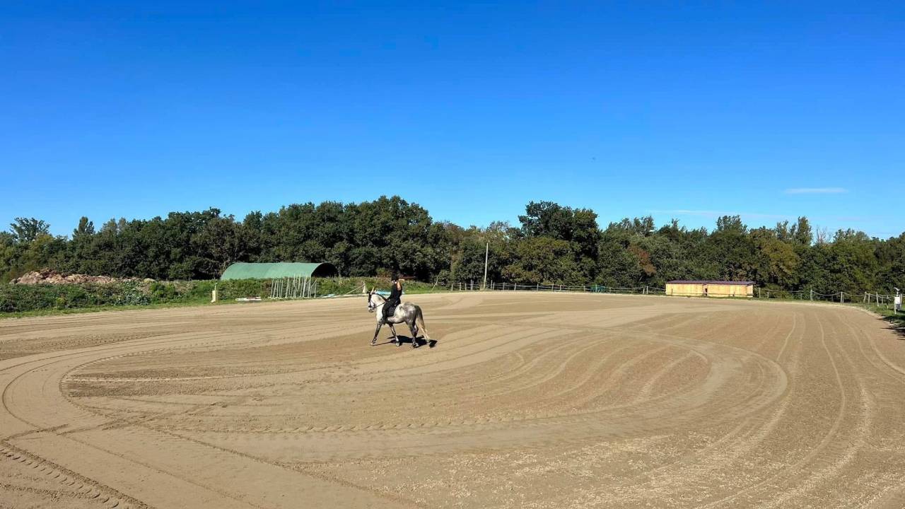 TOULOUSE - Ecurie &agrave; louer