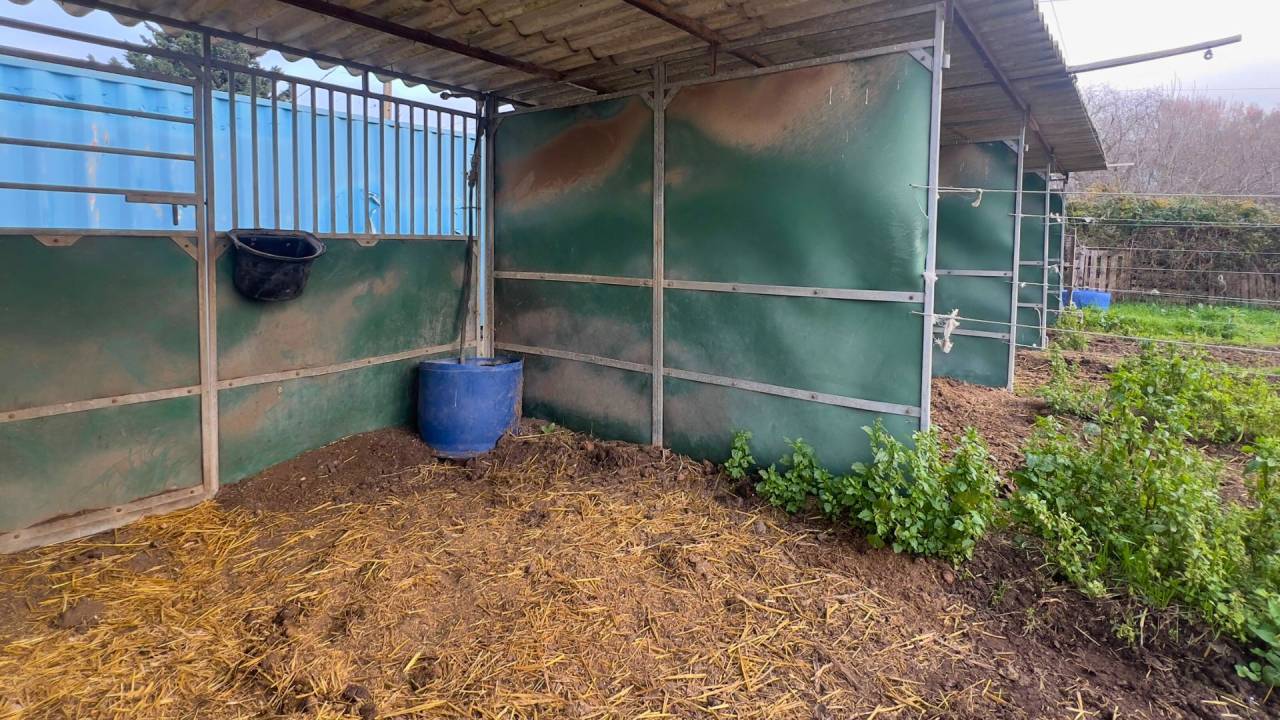 Au pied des Alpilles : mas de charme avec installations