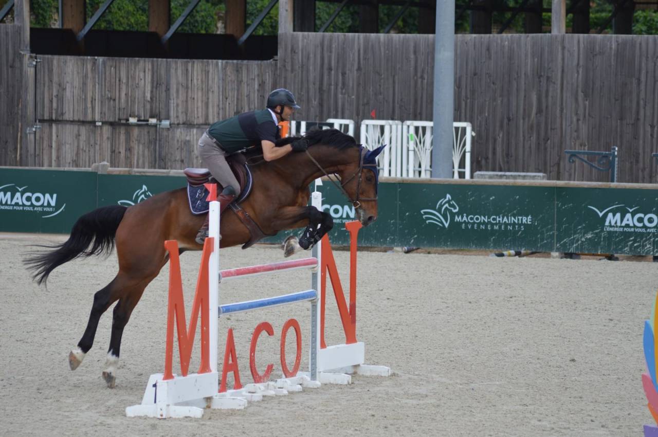 CHEVAL DE CSO 16 ANS