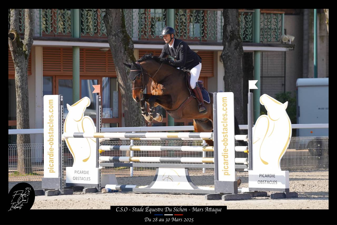 CHEVAL DE CSO 16 ANS