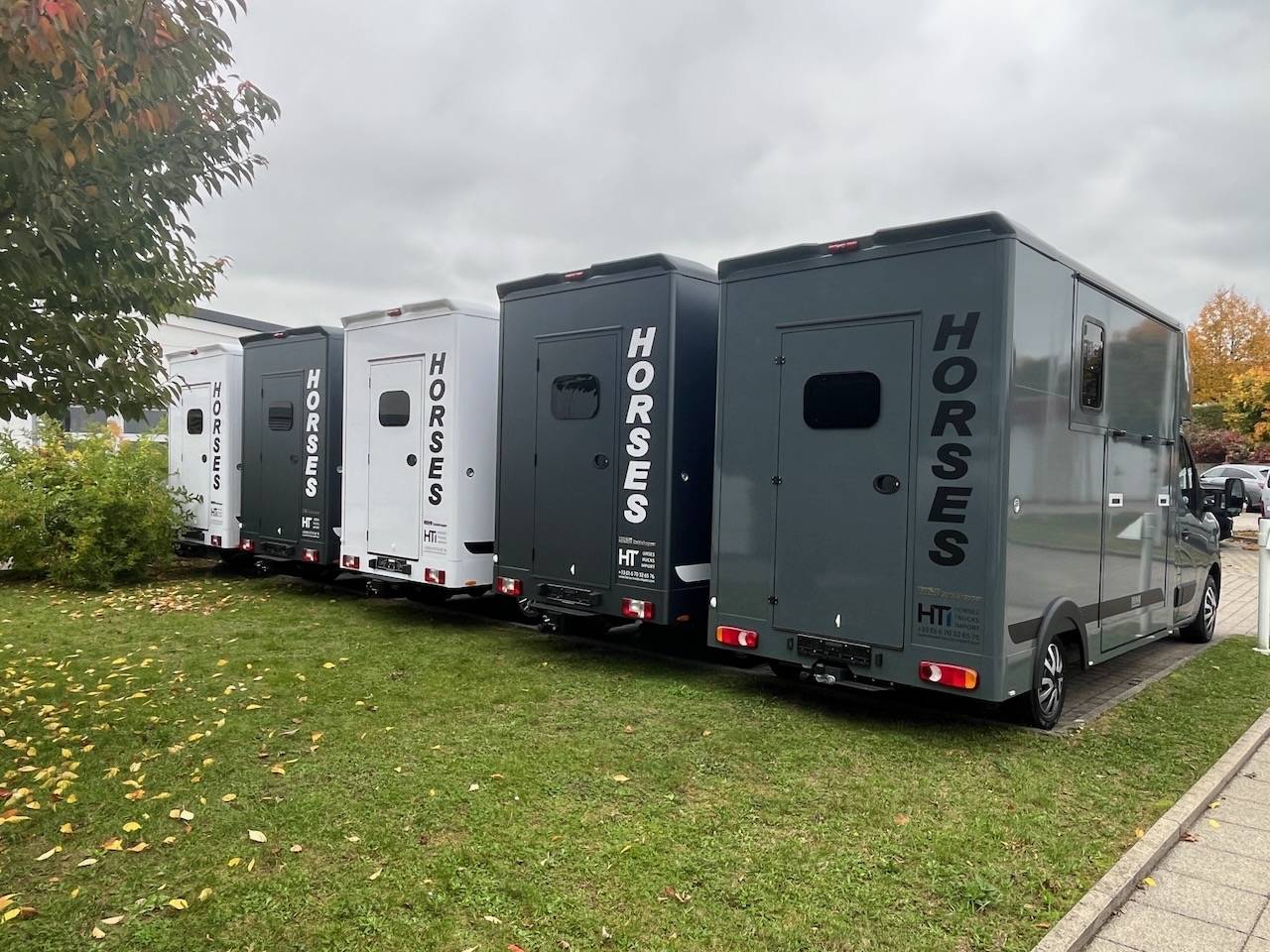 MAXUS DELIVER 9 LUXURY MSG STALLION LIGHT