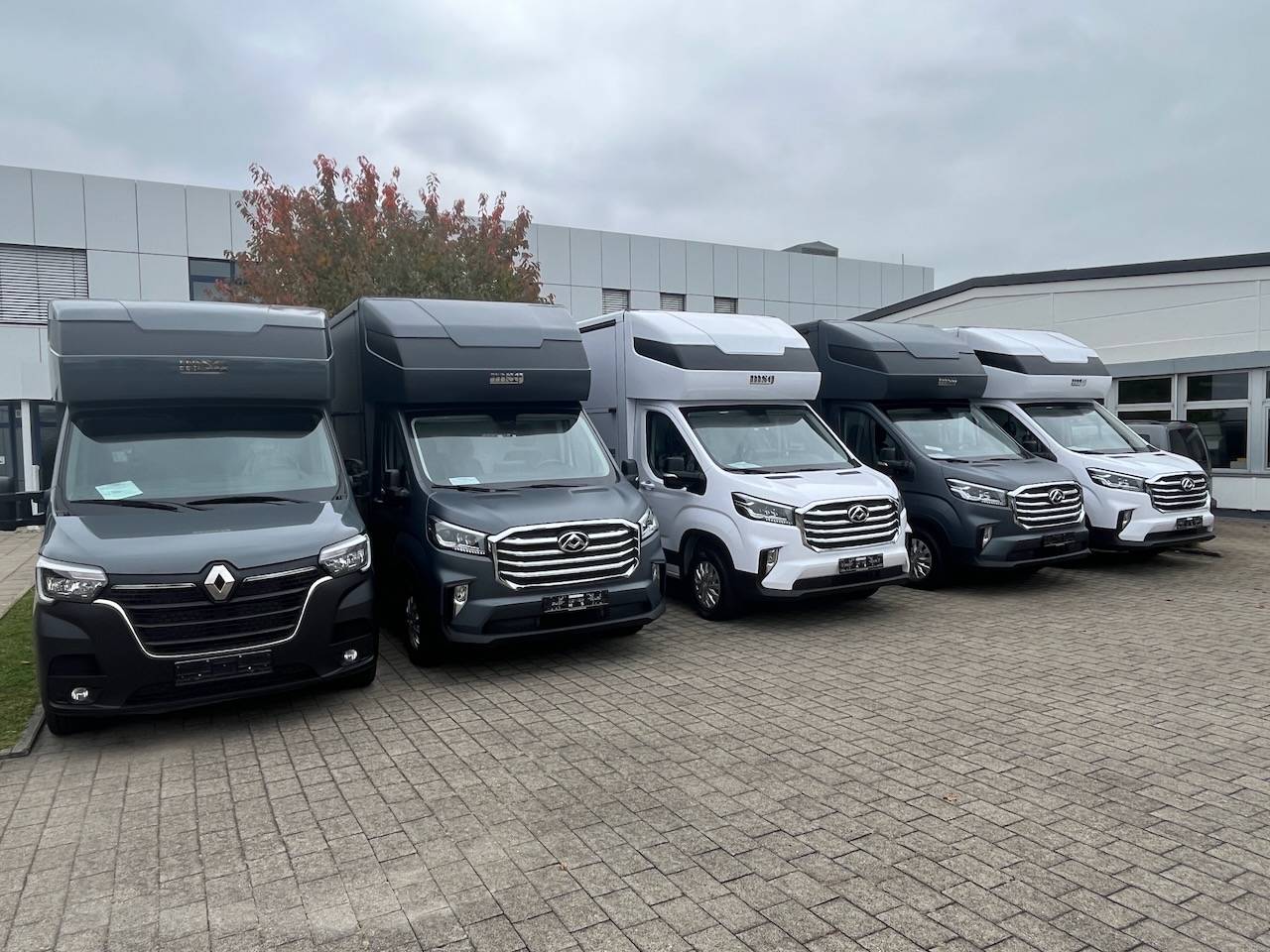 MAXUS DELIVER 9 LUXURY MSG STALLION LIGHT