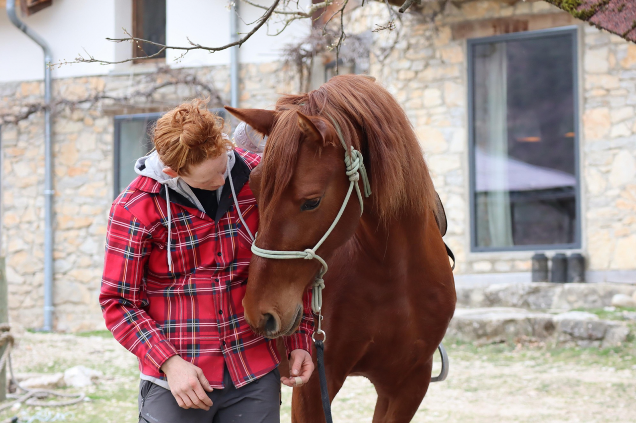 Hongre 7 ans, sensible et vaillant 