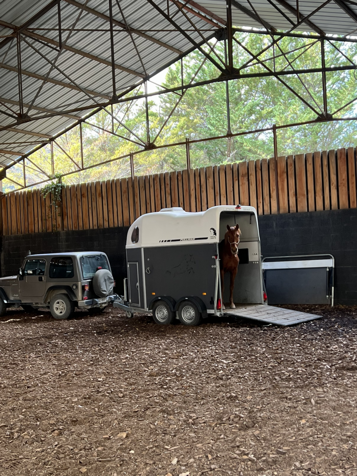 Hongre 7 ans, sensible et vaillant 