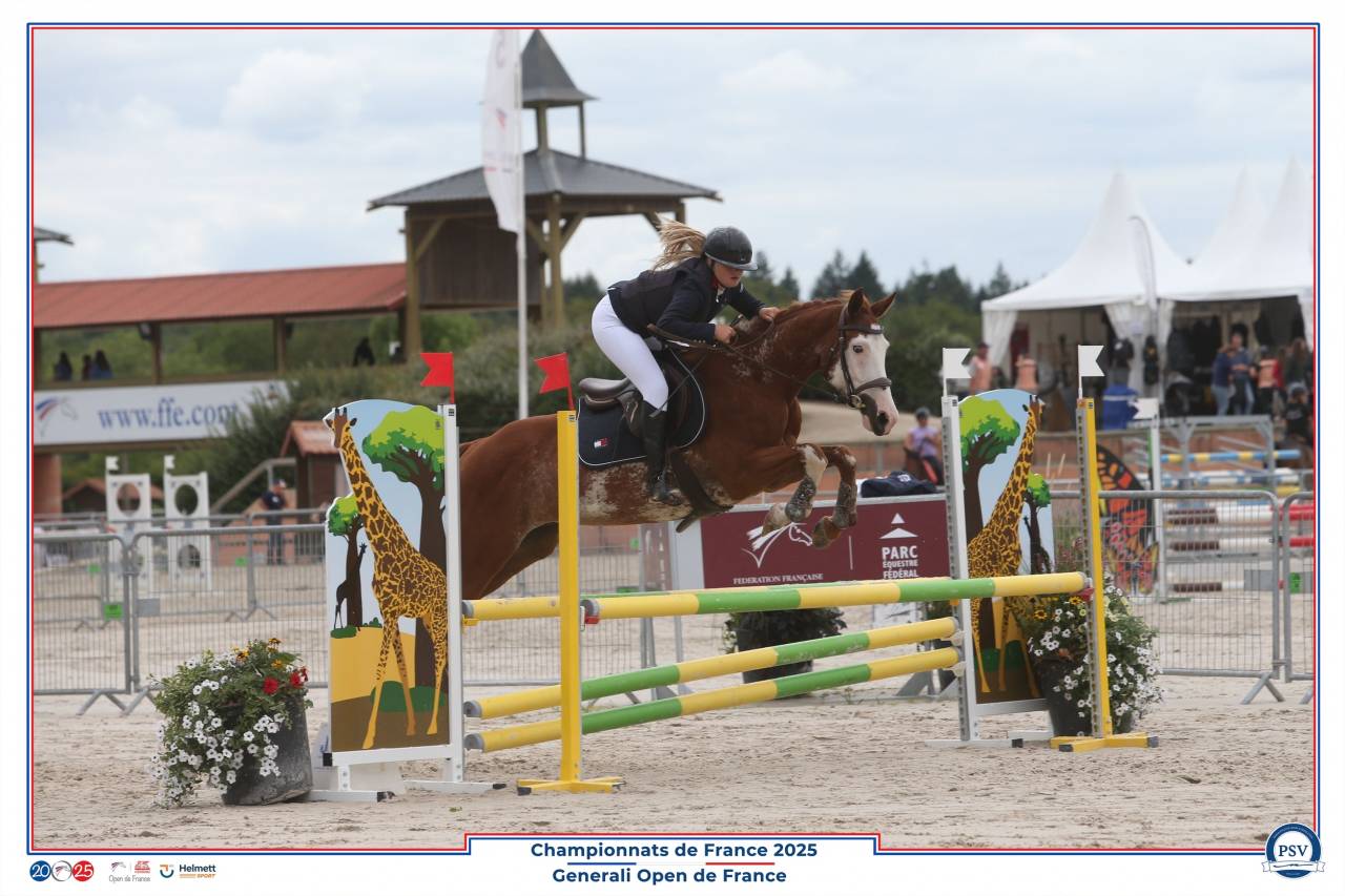 Cavalier soigneur et autre 