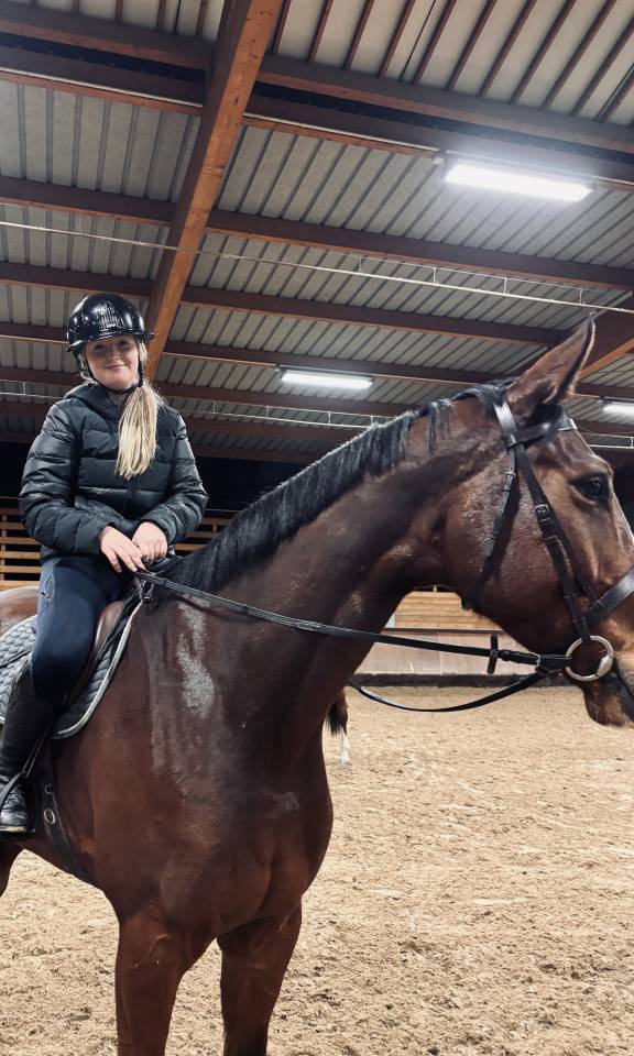 Cavalier soigneur et autre 