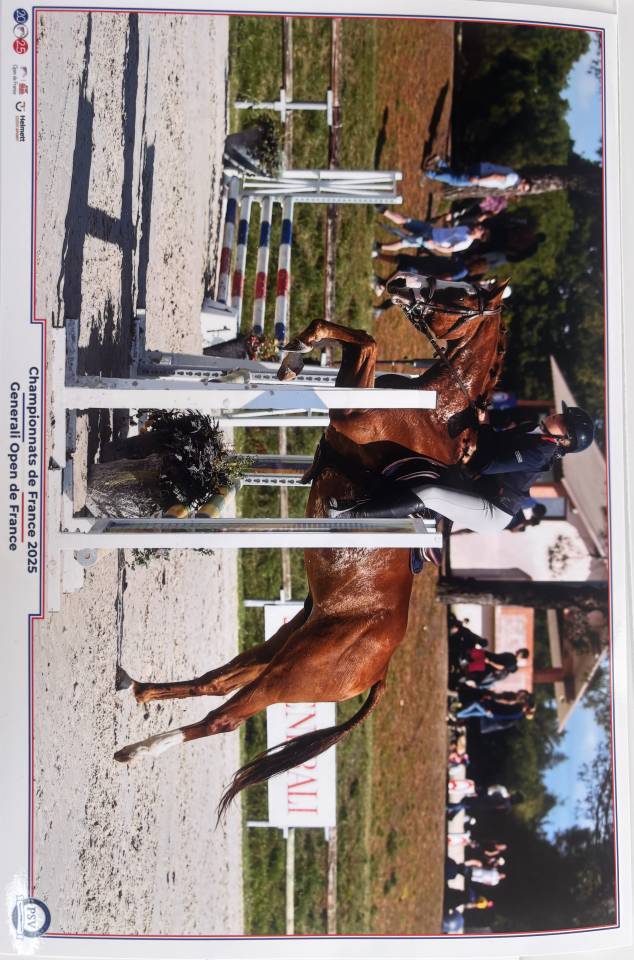 Cavalier soigneur et autre 