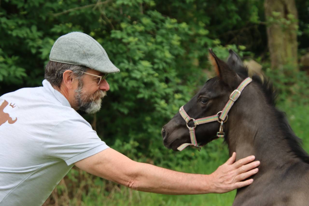 Poulains &aacute; reserver