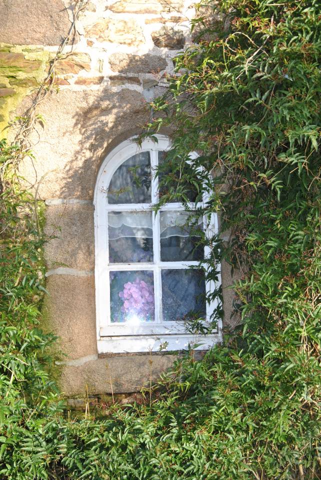 Ancien manoir sur 8,5ha proche c&ocirc;te de granit rose