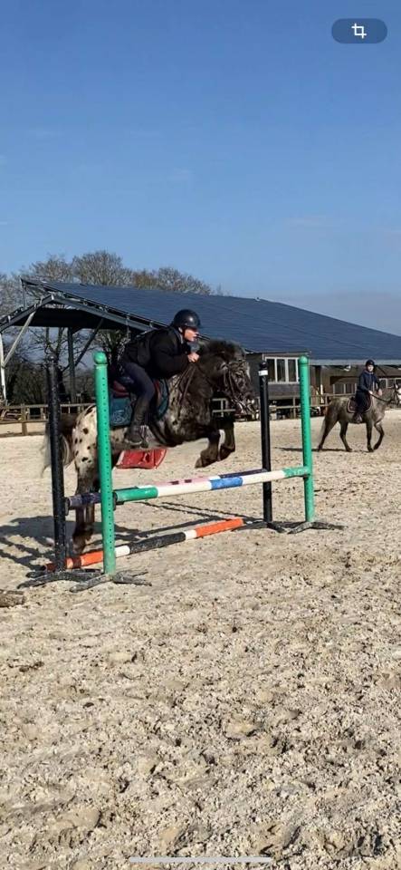 Poney top club et concours 