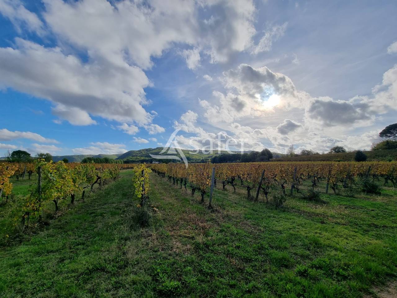Propri&eacute;t&eacute; dans la Vall&eacute;e du Lot, en zone AOC Cahors