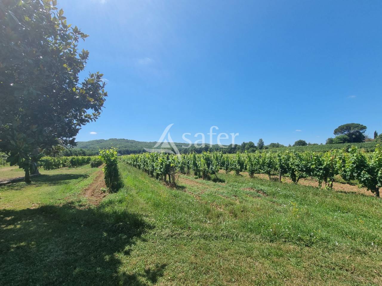 Propri&eacute;t&eacute; dans la Vall&eacute;e du Lot, en zone AOC Cahors