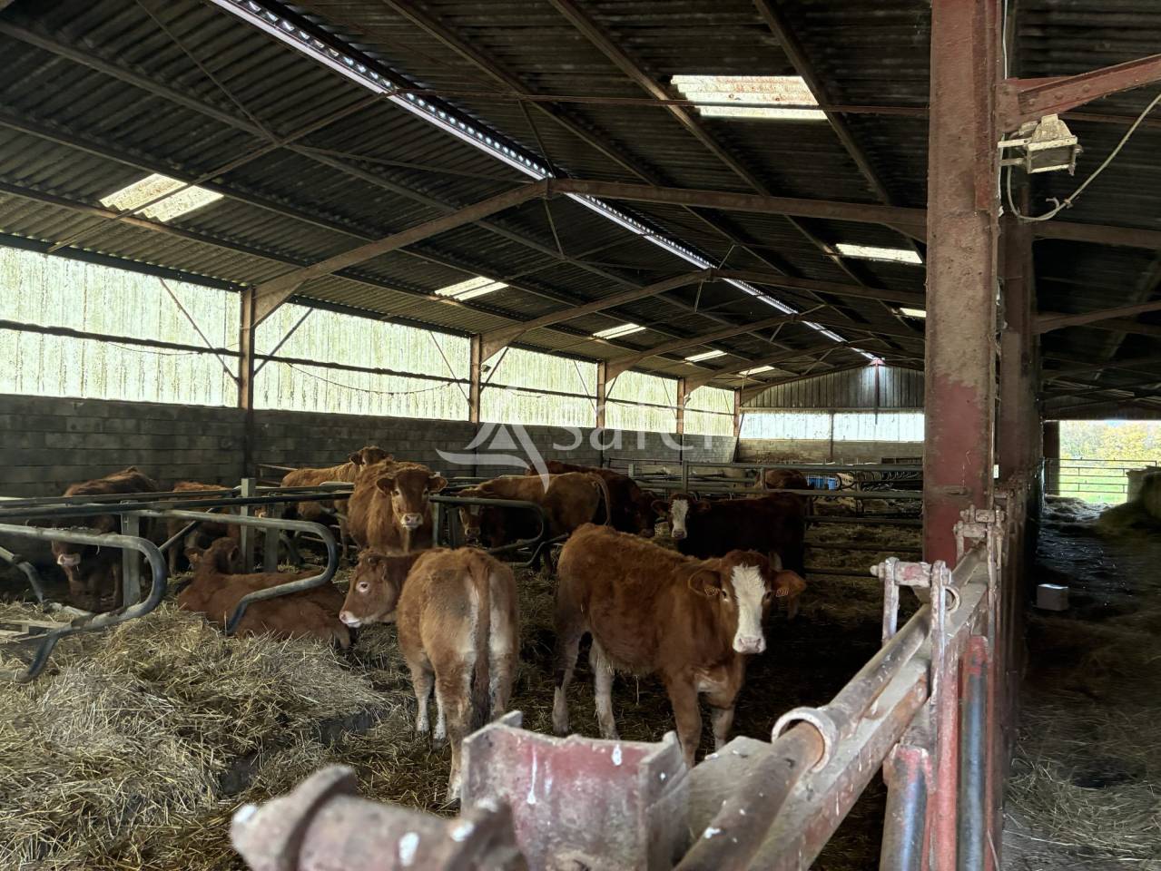 Ferme avec grange et b&acirc;timents - 24 hectares