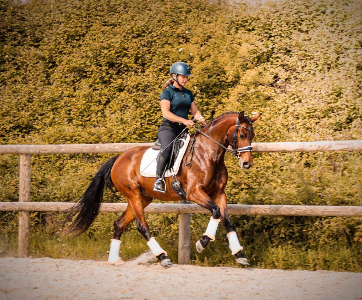 Jument par Vitalis x Apache